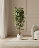 Artificial Variegated Ficus Weeping Tree 210cm (7ft)